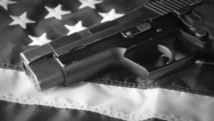 How the N.R.A. Went from Gun Club to Gun Lobby