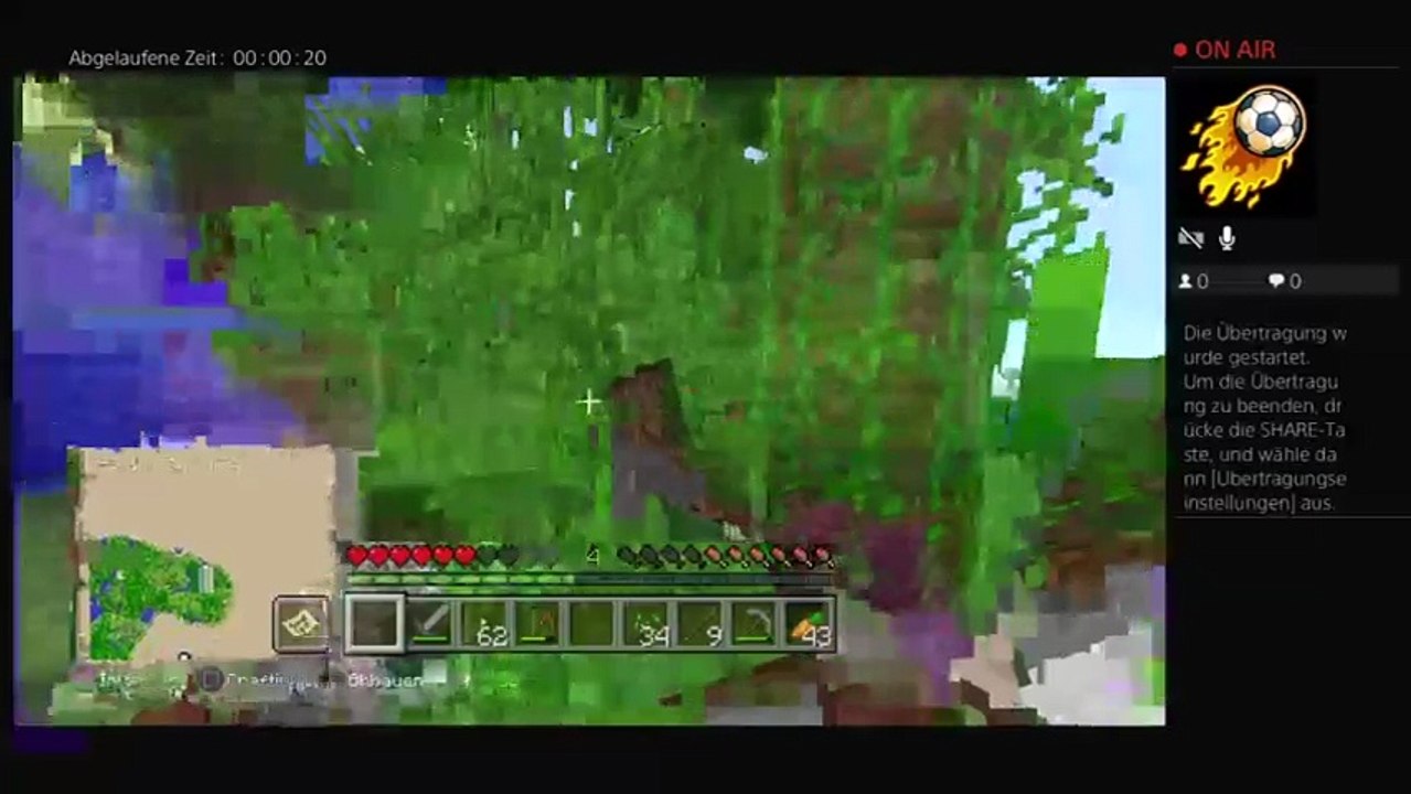 Minecraft (60)