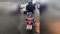 Helmet-wearing cat rides motorcycle with owner