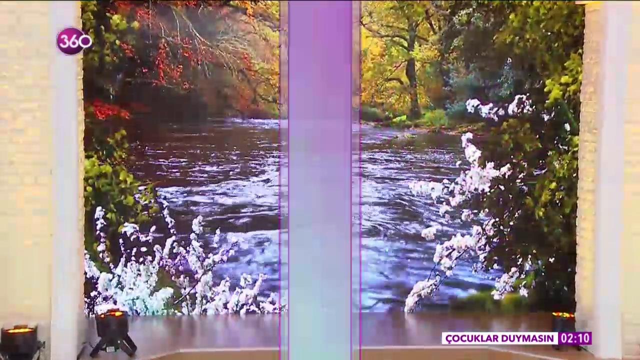 Açelya 2