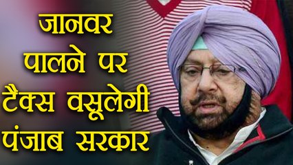 Punjab people will have to pay tax for having domestic animals । वनइंडिया हिंदी