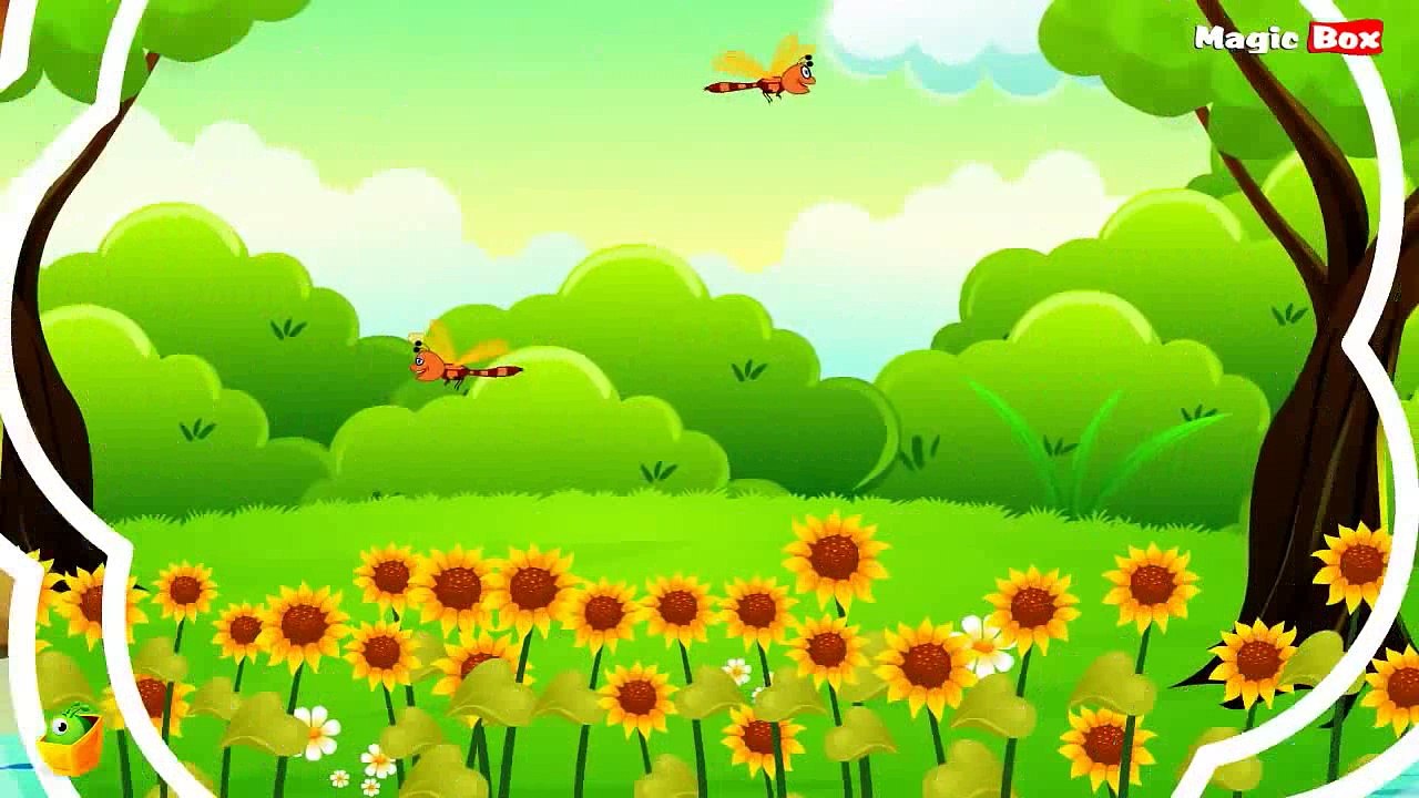 Sunflower On Garden| Pencilhumber | Video Kid
