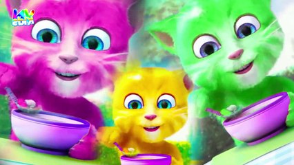 Three Cute Cat| Soonmain | Video Kid