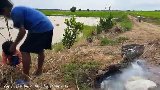 Wow! Brave Children Catch Big Snake While Burning Their Grass in The Rice Field