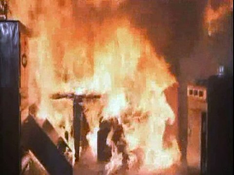 Flipper 1964 S03e11 Flipper And The Puppy