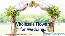 Wholesale Flowers for Weddings - www.wholeblossoms.com