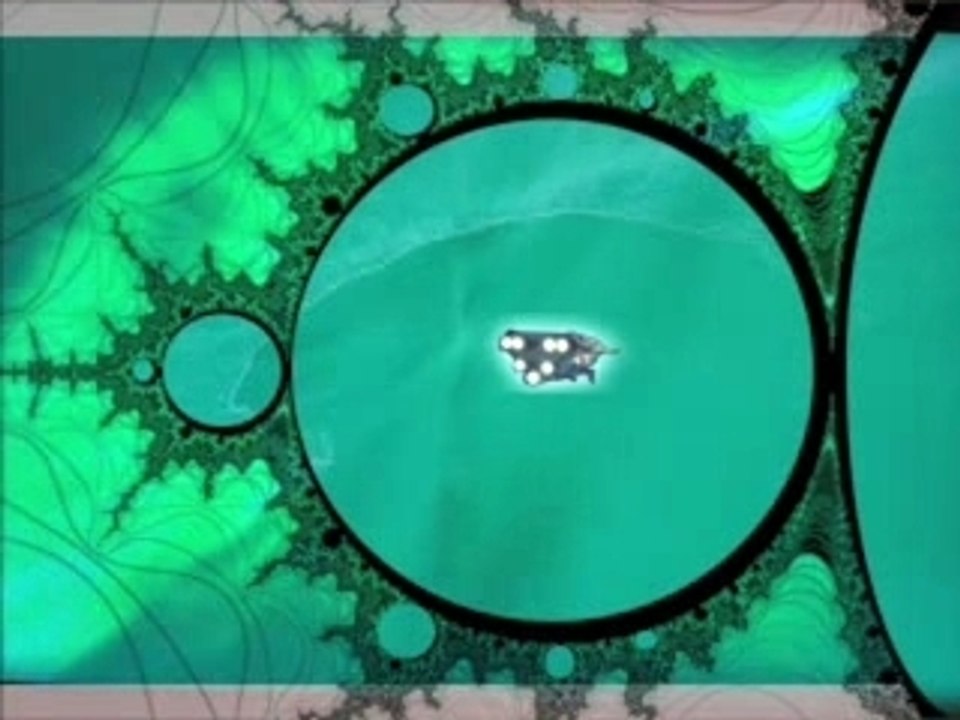 NUMB FRACTAL
