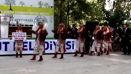 Anıt Ağacın Zeytinlerinin Yağı 50 Bin Liraya Satıldı