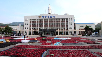고추 건조장이 된 평창경찰서 주차장 눈길 / YTN