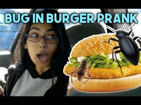 Guy Pranks Girlfriend With 'Edible' Bugs in Burger