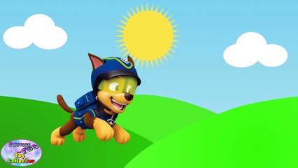 Paw Patrol ABC Song Nursery Rhymes Best Learning Videos For Kids Surprise Egg and Toy Collector SETC
