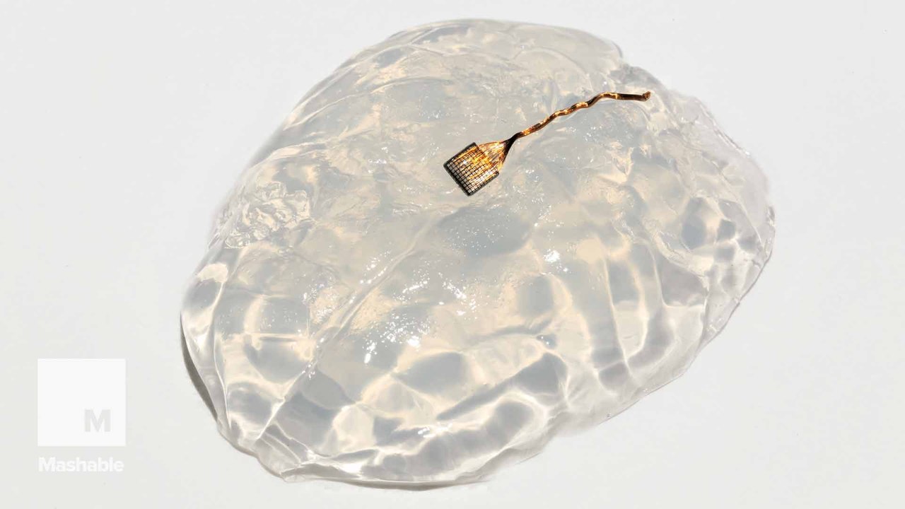 A tiny plastic implant, which restored movement in paralyzed animals, could one day assist humans