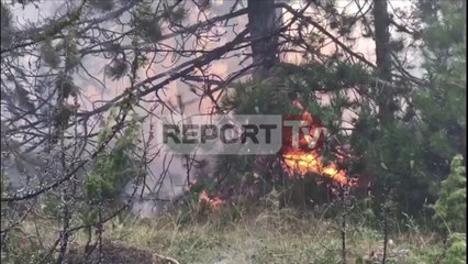 Report TV - Zjarr me përmasa të mëdha në afërsi të Voskopojës në Korçë