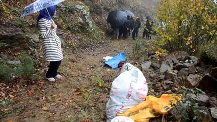 Simav'da Traktör Şarampole Devrildi: 1 Ölü