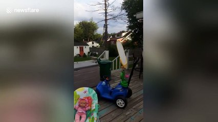 100ft tree falls onto logger in Canada