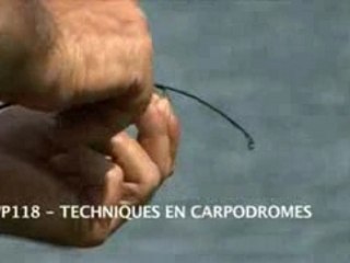 TECHNIQUES EN CARPODROME Spécial Moulinet