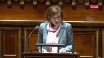 Florence Parly : « La France continuera à intervenir partout où ses intérêts sont menacés »