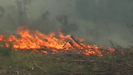 Télécharger la video: Pukë, 55 vjeçari vritet nga kablloja e tensionit të lartë - Top Channel Albania - News - Lajme