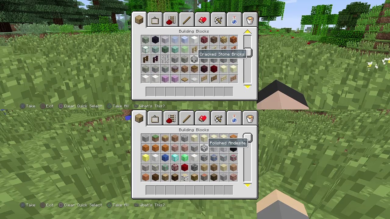 Minecraft Creative Challange with my bro (20)