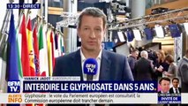 PE: interdiction du glyphosate d'ici 5 ans, interview de Yannick Jadot et reportage sur une agriculture sans glyphosate
