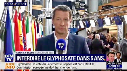 PE: interdiction du glyphosate d'ici 5 ans, interview de Yannick Jadot et reportage sur une agriculture sans glyphosate