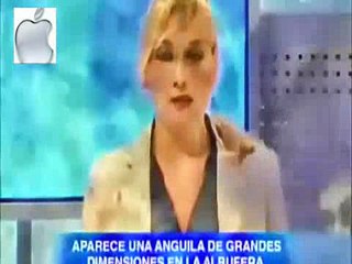 Miracle of Allah, Allah ka Mujza ya gazab hd