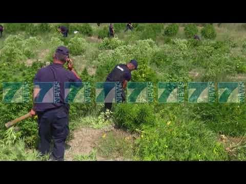 KREU I POLICISE ÇAKO KERKON HETIM PASURIVE TE KRIMIT - News, Lajme - Kanali 7