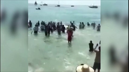 Download Video: Tout ces touristes se jettent à l'eau pour sauver une baleine échouée sur une plage... Belle preuve de solidarité