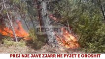Report TV - Tusha: Zjarret të qëllimshme, situata në kontroll
