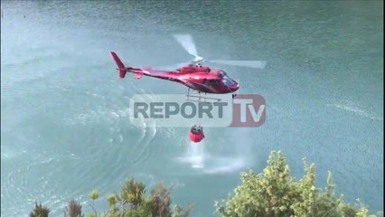 Report TV - Zjarri ka rënë në një zonë pyjore shumë afër shtëpive