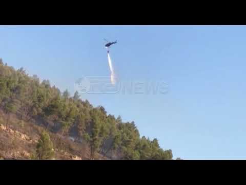 Ora News - Gjashtë vatra zjarri gjatë ditës së sotme