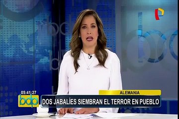 Argentina: niño sobrevivió a la caída de un rayo