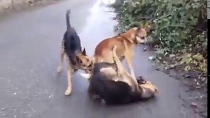 When you find your wife sleeping with another man