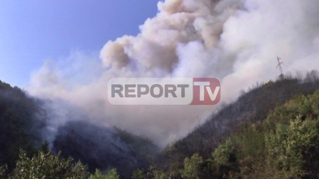 Report TV - Lezhë, zjarr i madh në Bërzanë rrezikohen disa banesa