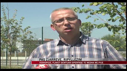 Zjarri djeg pyjet në Voskopojë, kërkohet ripyllëzim - News, Lajme - Vizion Plus