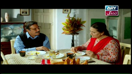 Rasm-e-Duniya Episode 12 - on ARY Zindagi in High Quality 24th October 2017