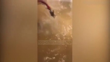 Të kapësh peshk brenda në shtëpi! - Top Channel Albania - News - Lajme