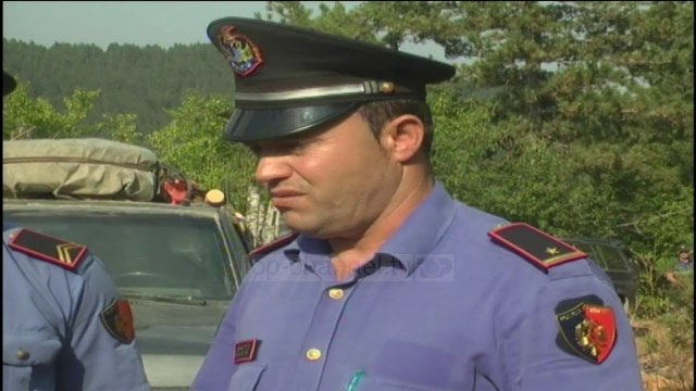 Prerja e pyjeve, vazhdon kontrabanda në jug-lindje - Top Channel Albania - News - Lajme