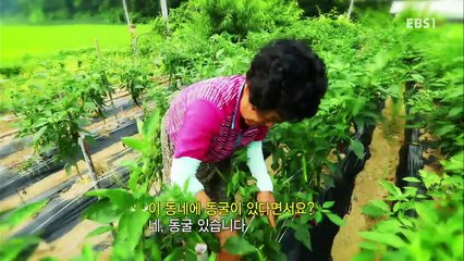 한국기행 - Korea travel_한여름, 동굴속으로 1부 물이 넘치는 마을_#001
