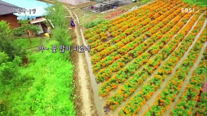 한국기행 - Korea travel_바람의 언덕 2부 내 이름은 바람 바람_#002