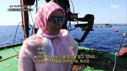 세계테마기행 - 아웃 오브 아프리카, 튀니지 2부- 이토록 풍요로운 지중해의 아침_#001