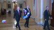 Russian Flags Thrown At President Trump Ahead Of Capitol Hill Meeting With Senators