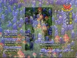 The Secrets to Longevity  - Part 3C