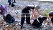 Report TV - Liqeni i Shkodrës, ulja e nivelit të ujit nxjerr papastërti të shumta