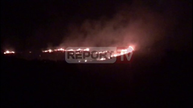 Report TV - Shkodër, zjarr në malin e Taraboshit, rrezikohen shtëpi