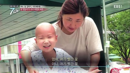 메디컬 다큐 7요일 - 어느날 갑자기, 수모세포종 외_#003