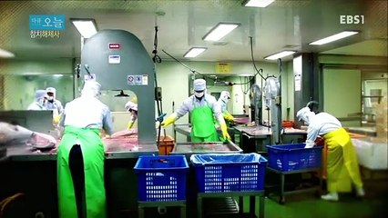 다큐 오늘 - 참치해체사_#001
