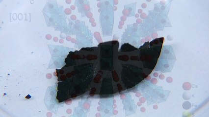 원전 오염수 '세슘'...미생물로 '깨끗하게' / YTN