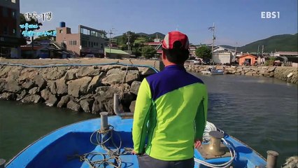 한국기행 - Korea travel_가을바다 신 자산어보 5부 개도에 사는 쫄깃한 맛_#002