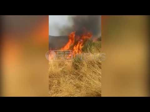 Dy vatra zjarri në Shkodër, njëri afër ish-repartit ushtarak, tjetri rrezikon antenat